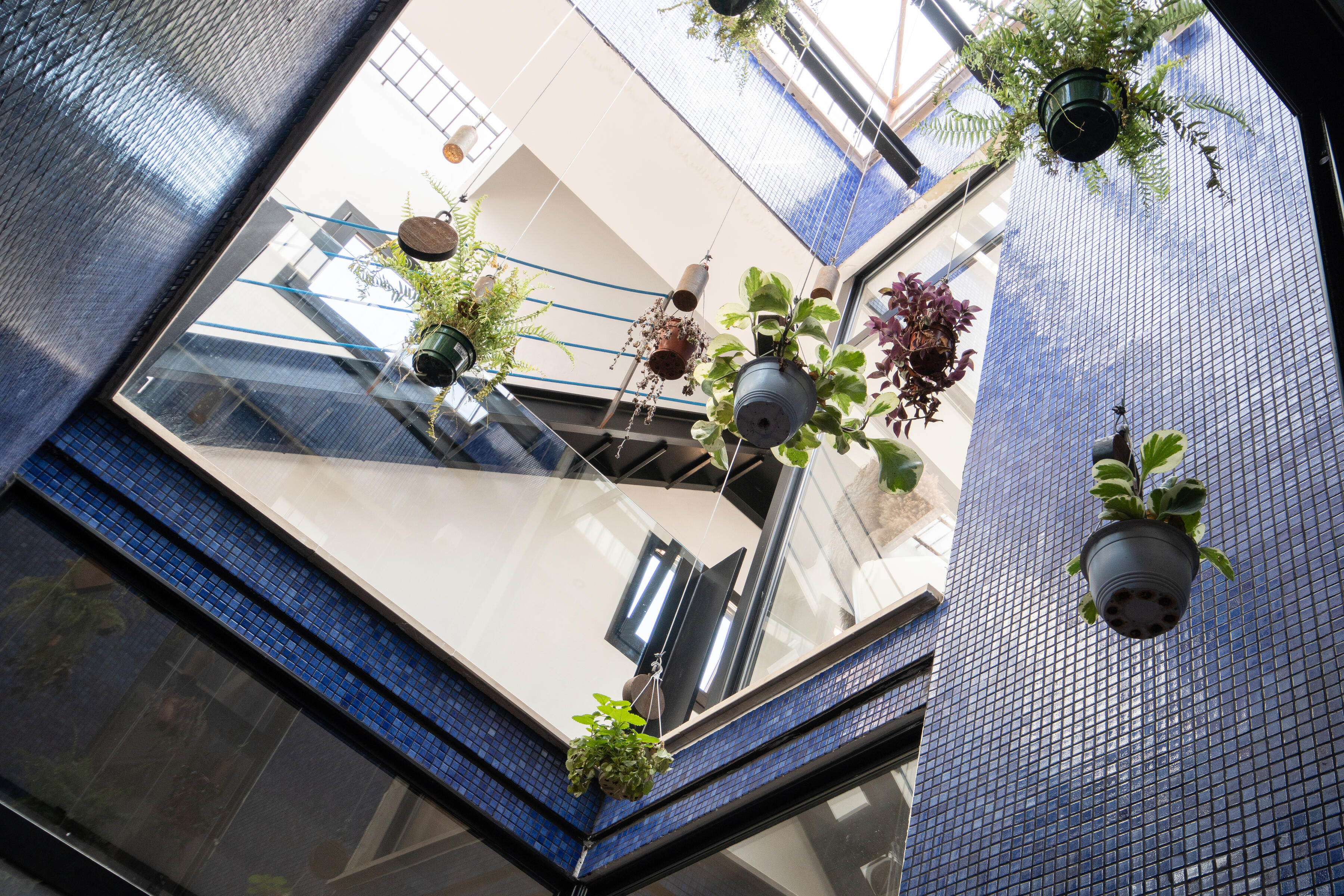 25_DSC3334b copy.jpg